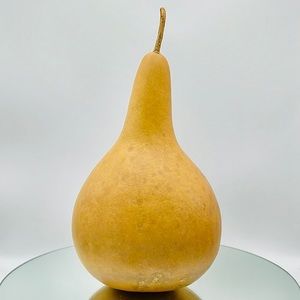 Clean Dried Natural Gourd 
ARTS & CRAFTS Project Ready Nice Vase Style Birdhouse